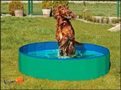 Karlie Flamingo Skládací bazén pro psy zelený 120x30cm