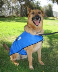 Chladící vesta Techniche HyperKewl™ Dog Vest XL  
