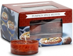 Goose Creek Candle Vonné čajové svíčky Pumpkin Spice Muffin 12ks