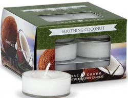 Goose Creek Candle Vonné čajové svíčky Soothing Coconut 12ks