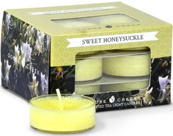 Goose Creek Candle Vonné čajové svíčky Sweet Honeysuckle 12ks