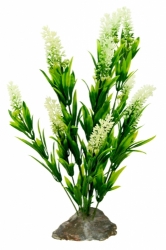 Lucky Reptile Borneo Grass with White Flowers 40cm