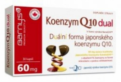 Barny´s Koenzym Q10 Dual 60mg