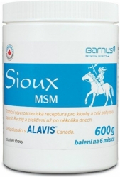 Barny´s Sioux MSM 600g