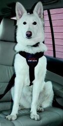 Company of Animals Clix Car Safe Bezpečnostní postroj do auta  M