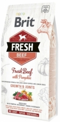 Brit Fresh Beef with Pumpkin Puppy Large Bones & Joints  2,5kg