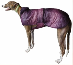 Luxury Greyhound® Coat Aztec Purple