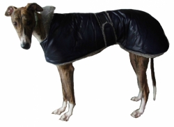 Luxury Greyhound® Coat Deep Blue