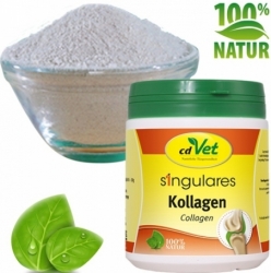 cdVet Singulares Kollagen Hydrolyzovaný Collagen 250g