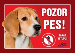 Juko cedulka plastová POZOR PES - Bígl