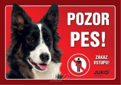 Juko cedulka plastová POZOR PES - Border Kolie