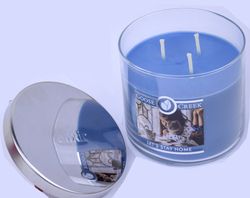Goose Creek Candle Let´s Stay Home 410g