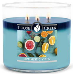Goose Creek Candle Optimistic Vibes 410g