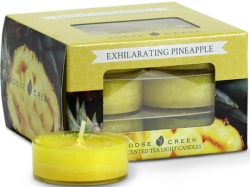 Goose Creek Candle Vonné čajové svíčky Exhilarating Pineapple 12ks