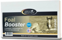 Horse Master Foal Booster Paste 4x15ml