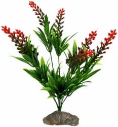 Lucky Reptile Borneo Grass with Red Flowers 30cm