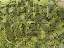 Natur Way Jinan Ginkgo list sušený  100g