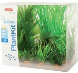 Zolux Set Akvarijních rostlin Jalaya 1