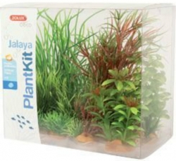 Zolux Set Akvarijních rostlin Jalaya 4